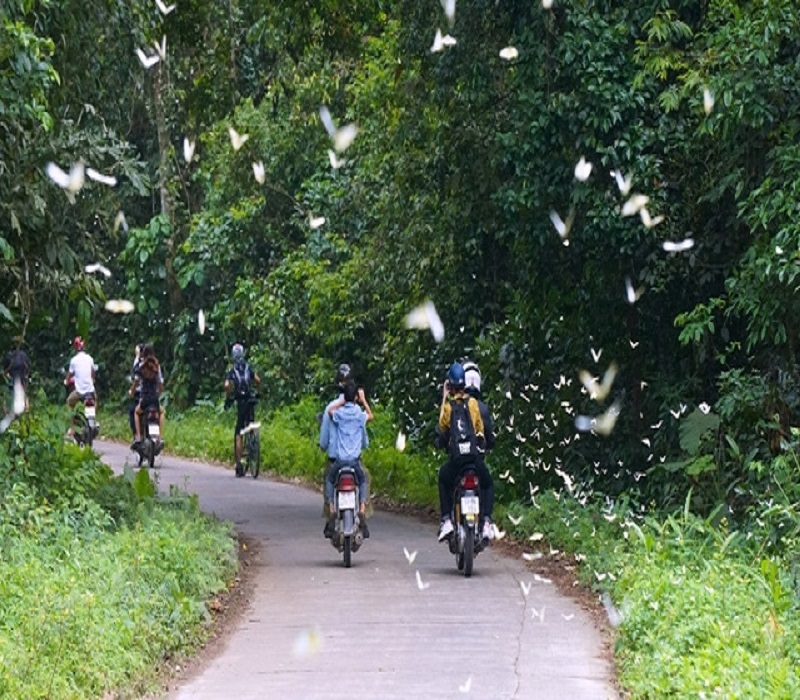  Motorbike Tour 1Day:  Cuc Phuong National Park and Bai Dinh Pagoda