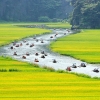 Ninh Bình Motorbike Tour 2days - 1 Night